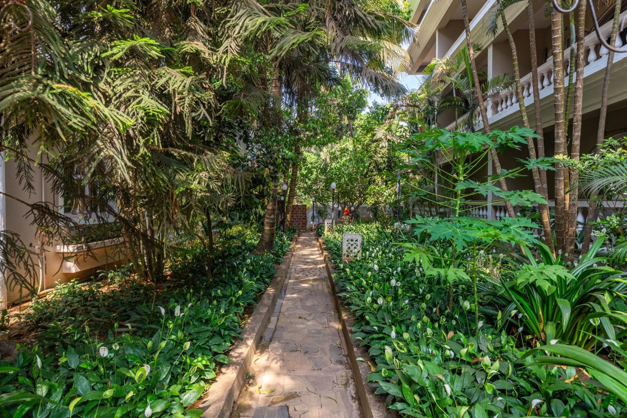 Calux Joia Do Mar Resort - Calangute Baga Εξωτερικό φωτογραφία